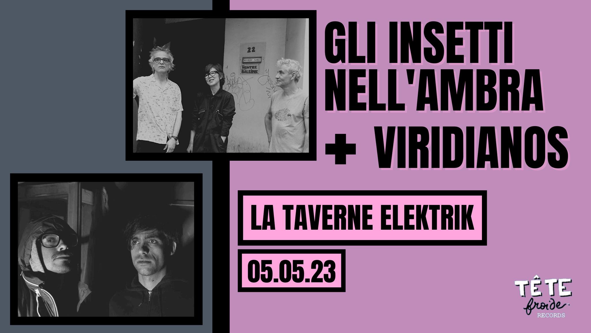à Amiens : Gli Insetti Nell'Ambra (krautrock / postpunk) + Viridianos (dark surf) à la Taverne Elektrik (54 rue Saint-Leu). 20h. Orga. Tête Froide